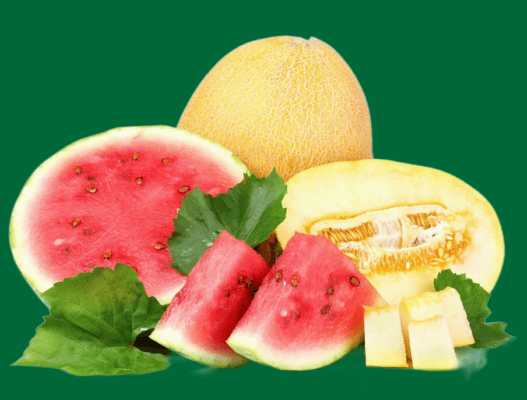 A cut watermelon and a cantaloupe melon