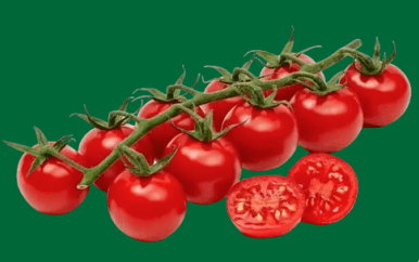 A handful of bright red cherry tomatoes