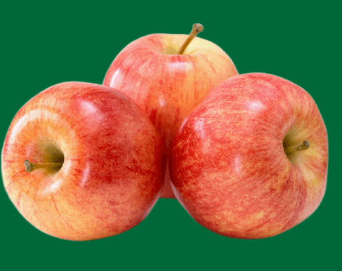 A variety of colorful apples